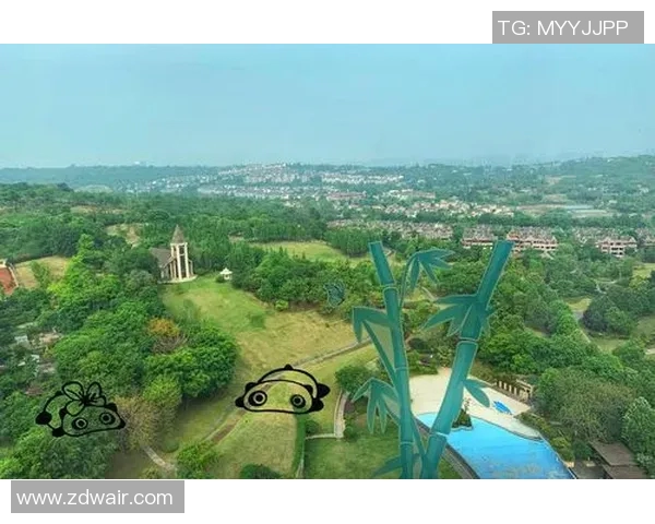 成都羽毛球队在洲际杯中的辉煌突破与成长之路全景回顾